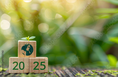 Wooden Cubes with 2025 and Earth Symbol