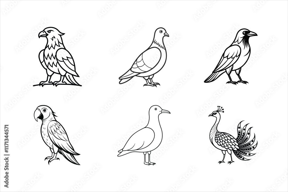 Obraz premium Stunning Wildlife Birds Set for Creative Projects..