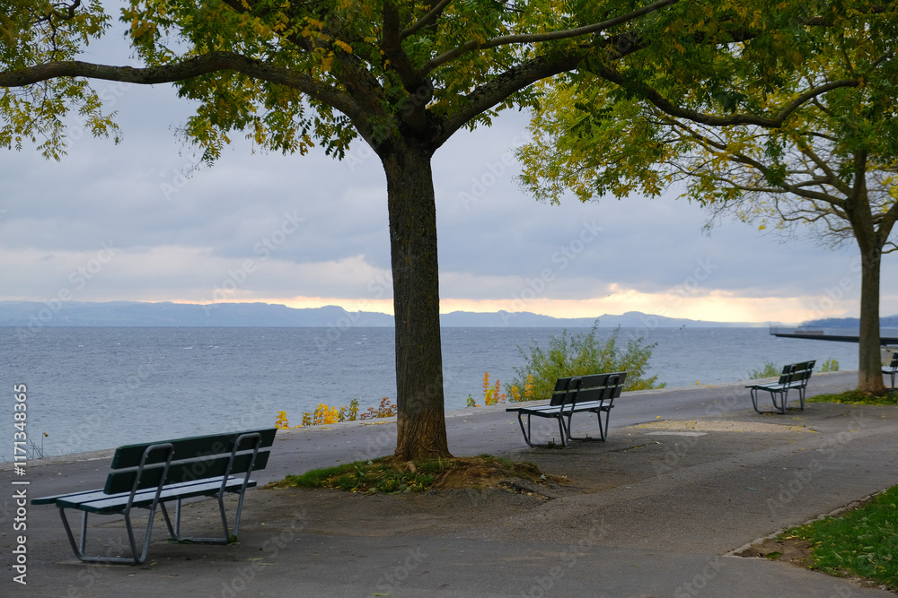 Neuchatel, Switzerland, walking zone, trees and benches near the lake Neuchatel, Switzerland, walking zone, trees and benches near the lake