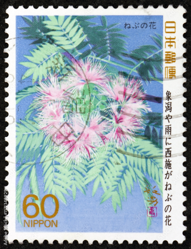 Postage stamp Japan 1988 mimosa in bloom