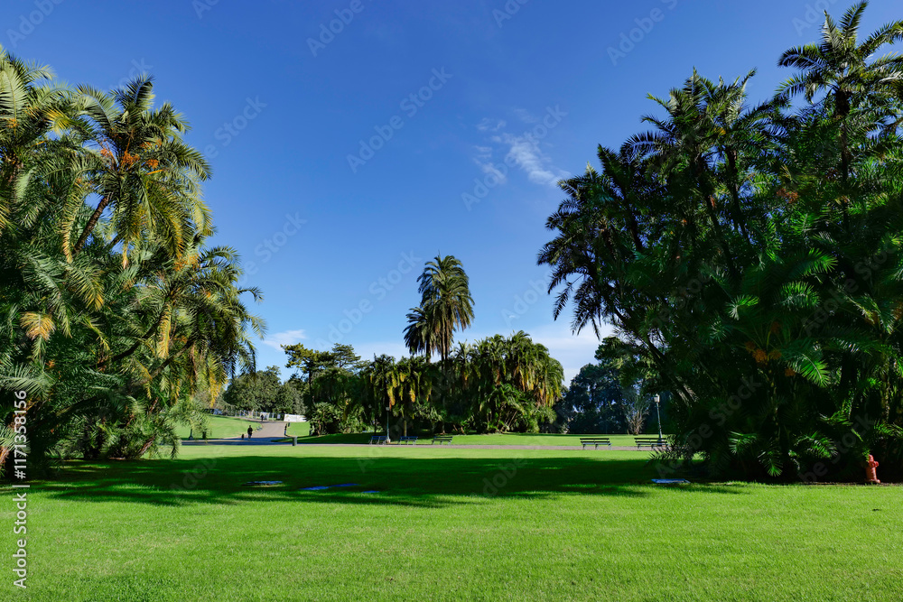 Naklejka premium A lawn in Capodimonte Park in Naples, Italy.