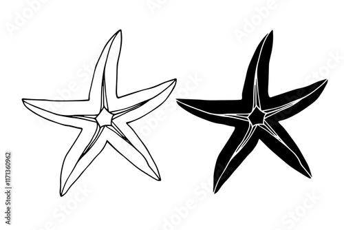 Line sketch, silhouette, stamp of aquatic inhabitants of starfish. Vector graphics.