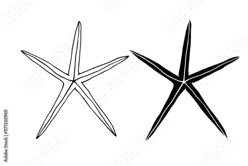 Line sketch, silhouette, stamp of aquatic inhabitants of starfish. Vector graphics.