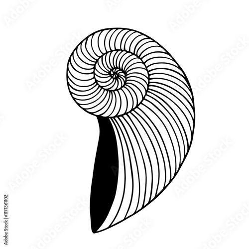 Sketch of aquatic inhabitants of decorative seashells. Vector graphics.