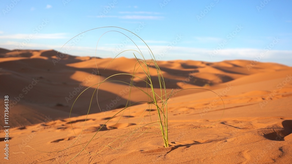 africa, agriculture, arab, atmospheric, background, biological diversity, climate change, climate fluctuation, climatic change, climatological changes, co2 climate change, colorful, cracked earth, dea