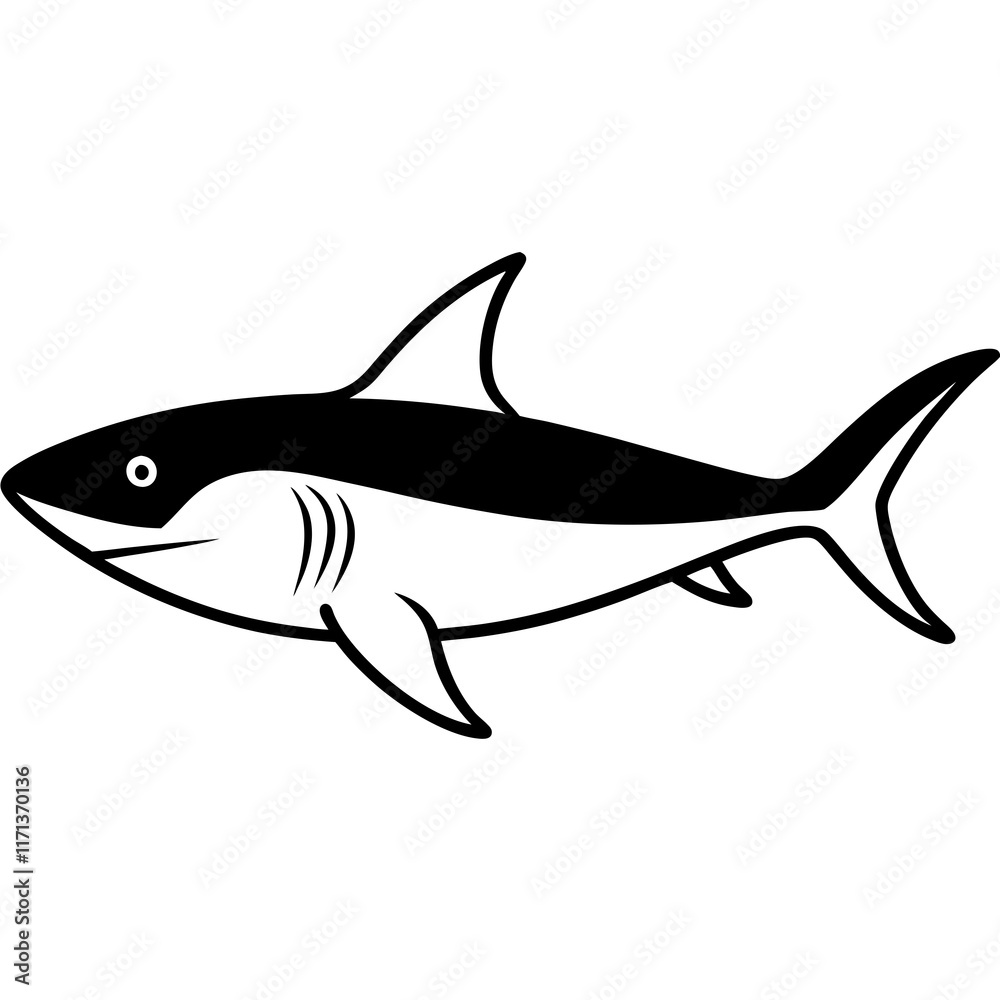 Fototapeta premium shark silhouette vector illustrator