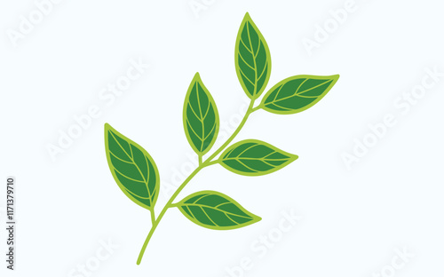 Wallpaper Mural  green leaf ecology icon, leaf isolated on transparent background. Environment and Nature Symbol, Vector illustration. Torontodigital.ca