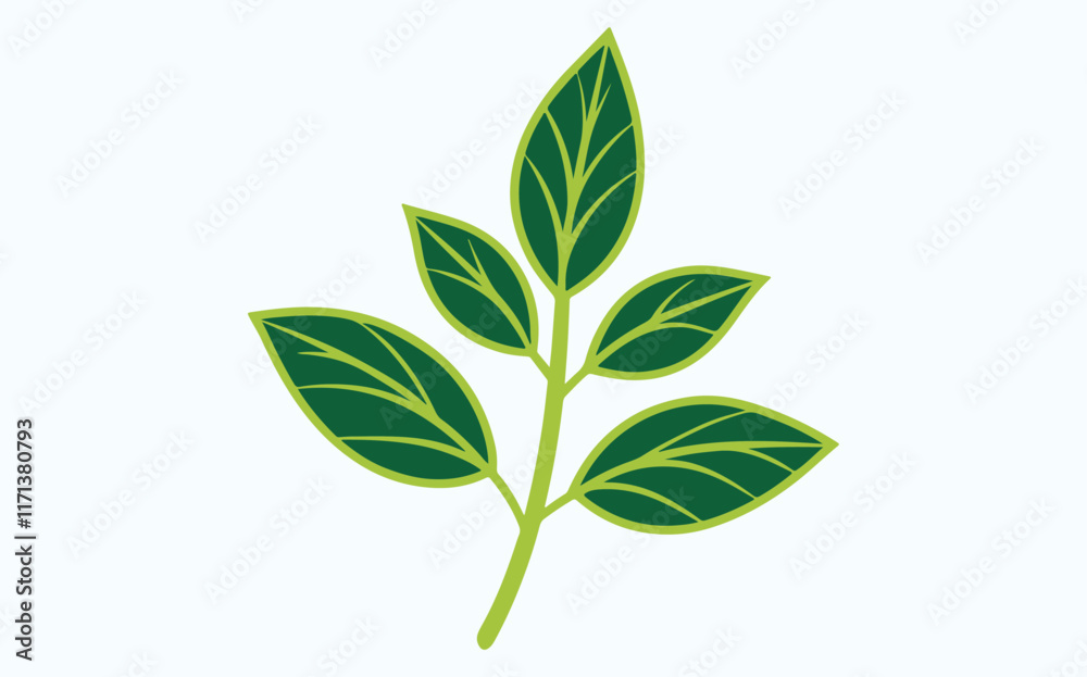 Obraz premium green leaf ecology icon, leaf isolated on transparent background. Environment and Nature Symbol, Vector illustration.