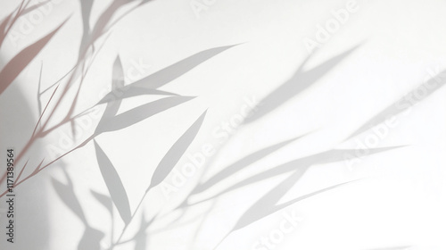 Bamboo leaves shadow creating abstract background on white wall