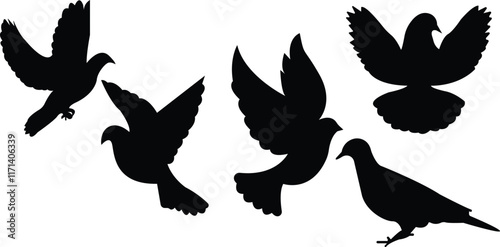 Black silhouette of pigeon, Flying pigeons vector 