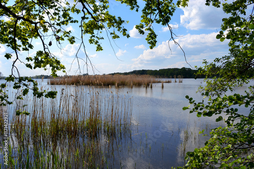 Milickie Ponds photo