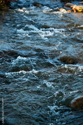 An unnamed river flowing downstream