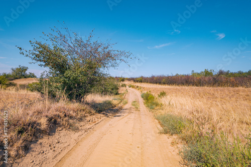 A panoramic view of Serbia Deliblatska Pescara desert reveals a vast expanse of empty plains and rolling hills under a clear sky photo