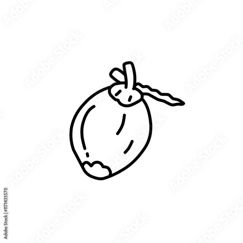 coconut line icon