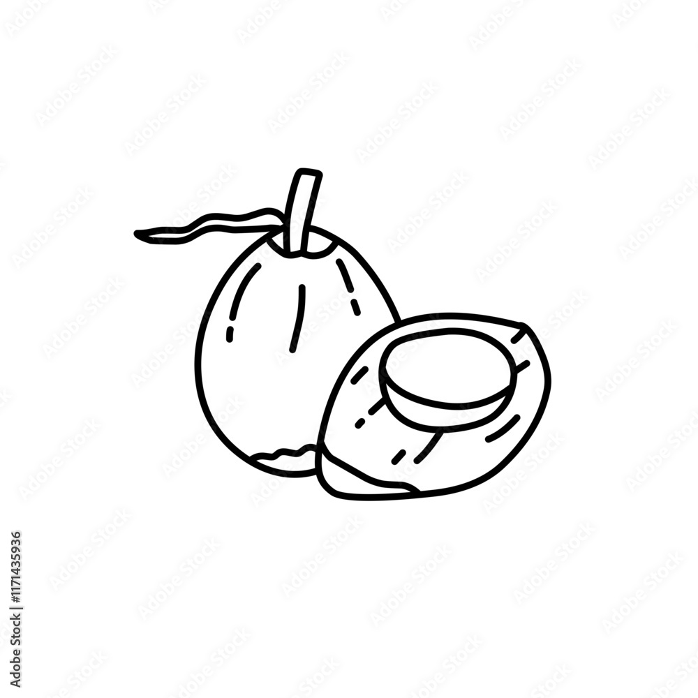 coconut line icon coconut line icon