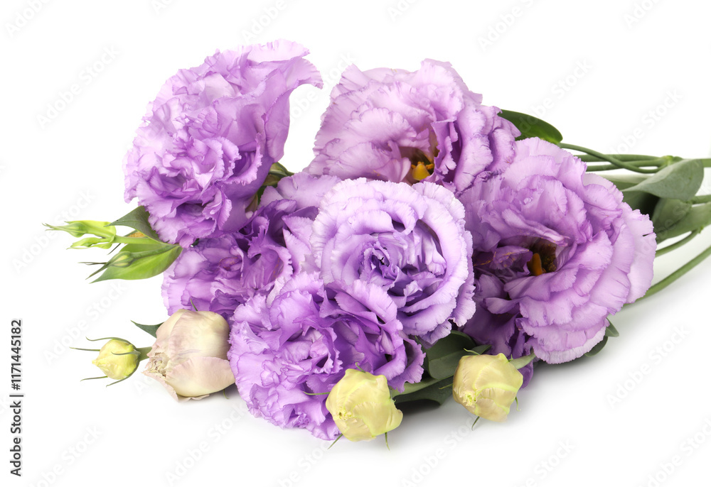 Beautiful violet eustoma flowers with green leaves isolated on white Beautiful violet eustoma flowers with green leaves isolated on white