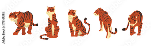 Adult Striped Tiger Big Cat with Tail Vector Set
