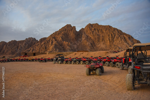 Quad nel deserto photo