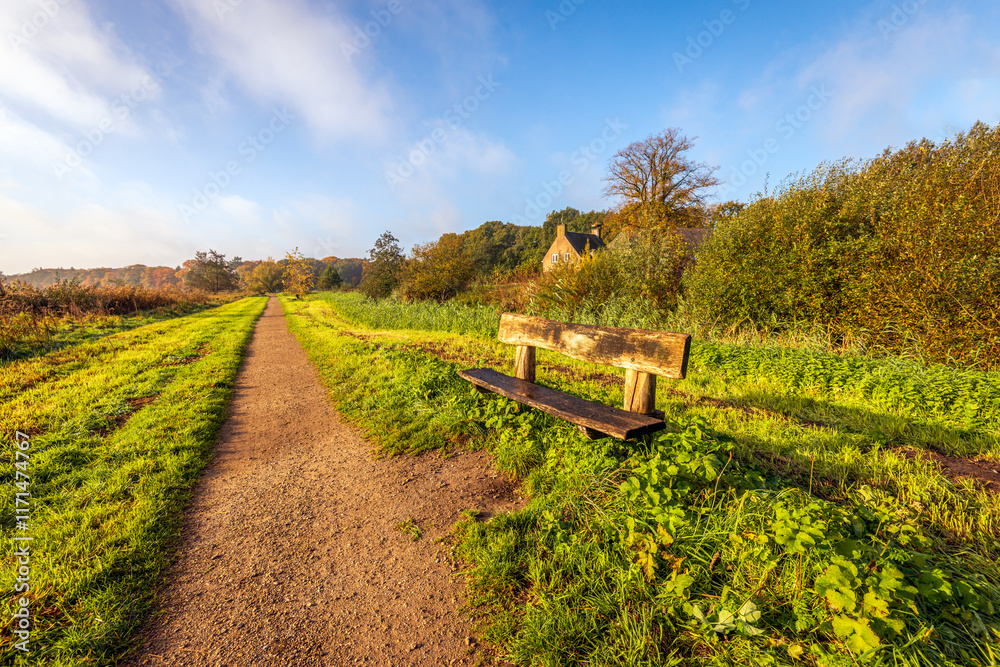 Simple wooden bench next to a long unpaved walking path. It is an early autumn morning. The grass and the wood of the bench are still wet with dew.