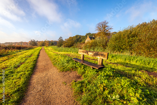 Obraz na płótnie Simple wooden bench next to a long unpaved walking path. It is an early autumn morning. The grass and the wood of the bench are still wet with dew. w salonie