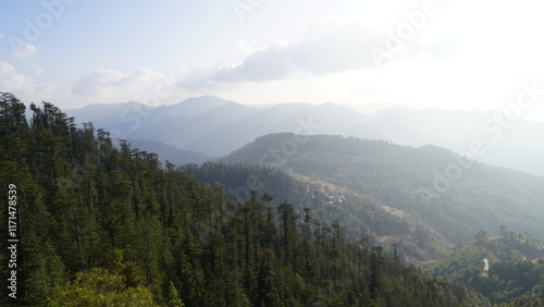 Landscape Mountains Trees Snow