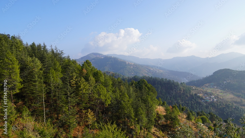 Obraz premium Landscape Mountains Trees Snow