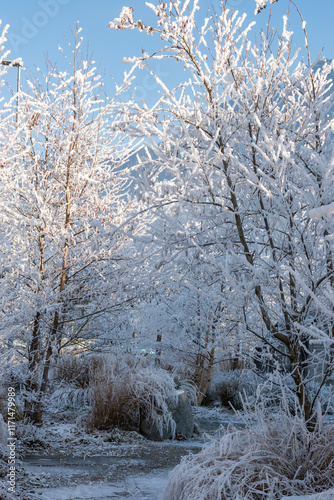 Frosty scenery in a small park in Schaan in Liechtenstein photo