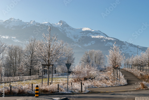 Landscape in Schaan in Liechtenstein photo