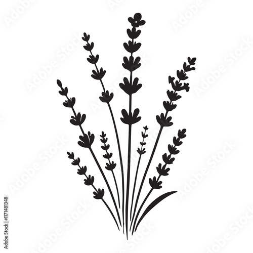 Lavender Flowers Silhouette A Fragrant Floral Design