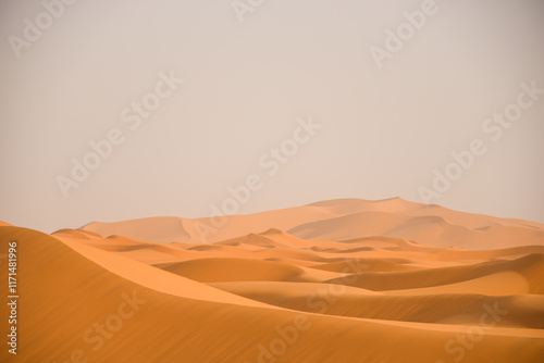 Esperienza nel deserto marocchino