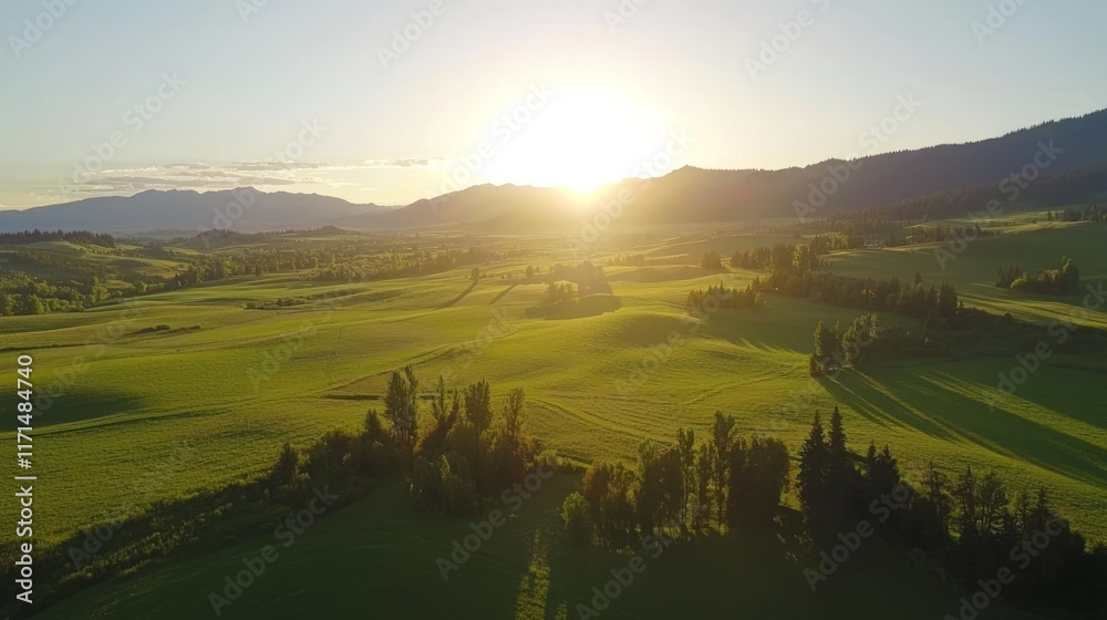 Fototapeta premium Majestic Sunset over Golden Farmland Valley | Cinematic Panoramic Landscape of Lush Crops in Setting Sunlight | Ultra-Detailed Scenic View