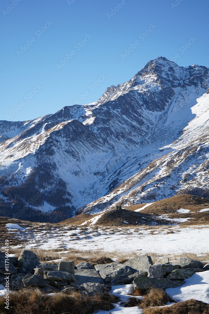 Fototapeta premium snow-capped mountain