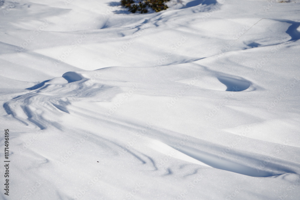drawings in the snow drawings in the snow