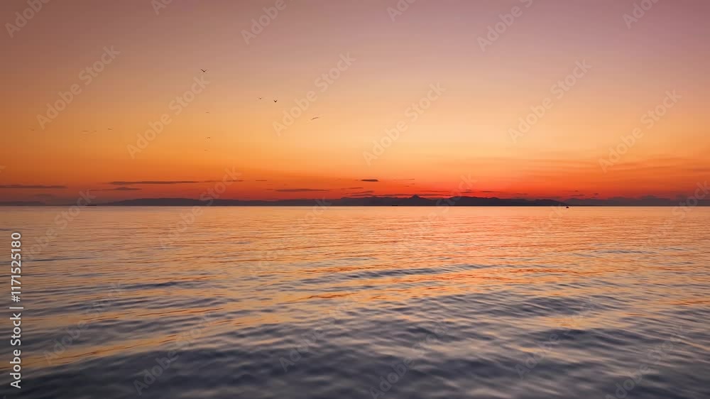 A beautiful sunset and calm see with seagulls in the sky in slow motion as a background or texture A beautiful sunset and calm see with seagulls in the sky in slow motion as a background or texture