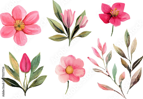 set of pink flowers
