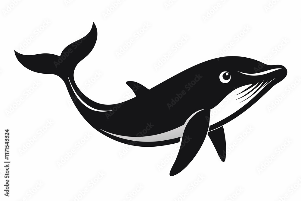 Whale silhouette vector illustration on white background Whale silhouette vector illustration on white background