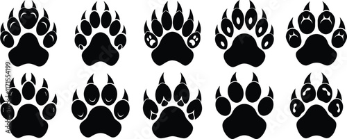 Bear paw print with claws vector graphic illustration design
