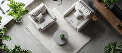 Modern Living Room Interior Design: Top-Down View of Elegant Seating Area with Plants