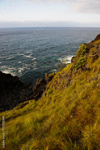 view of the coast of the atlantic ocean