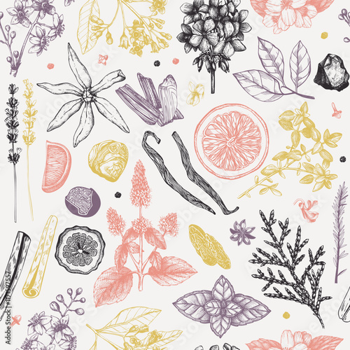 Aromatic seamless pattern. Cosmetics and perfumery background. Hand-drawn botanical illustration. Eco-friendly design. NOT AI generated
