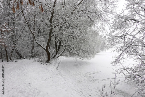 Beautiful landscape with snow-covered path on the edge of the forest and frozen river under overcast winter day photo