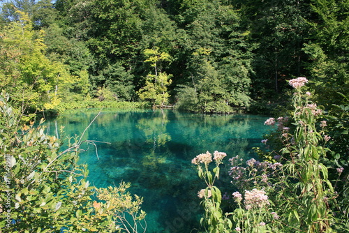 Landscape in Plitvicа Lakes National Park, Croatia