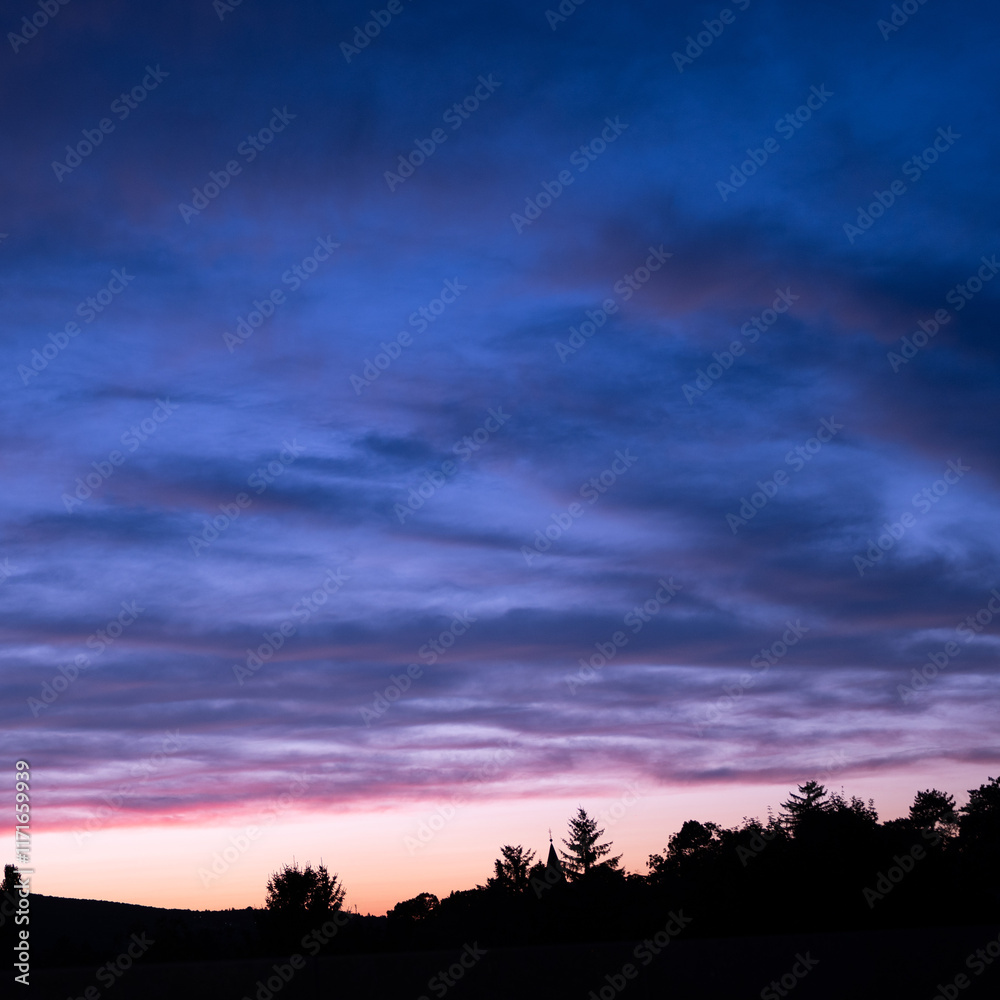 Fototapeta premium sunset in the field