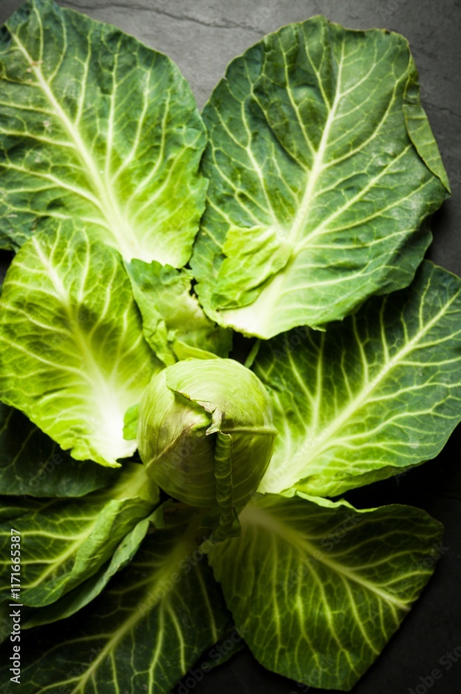 Top View of Trimming Fresh Savoy Cabbage Leaves on a Wooden Cutting Board Top View of Trimming Fresh Savoy Cabbage Leaves on a Wooden Cutting Board