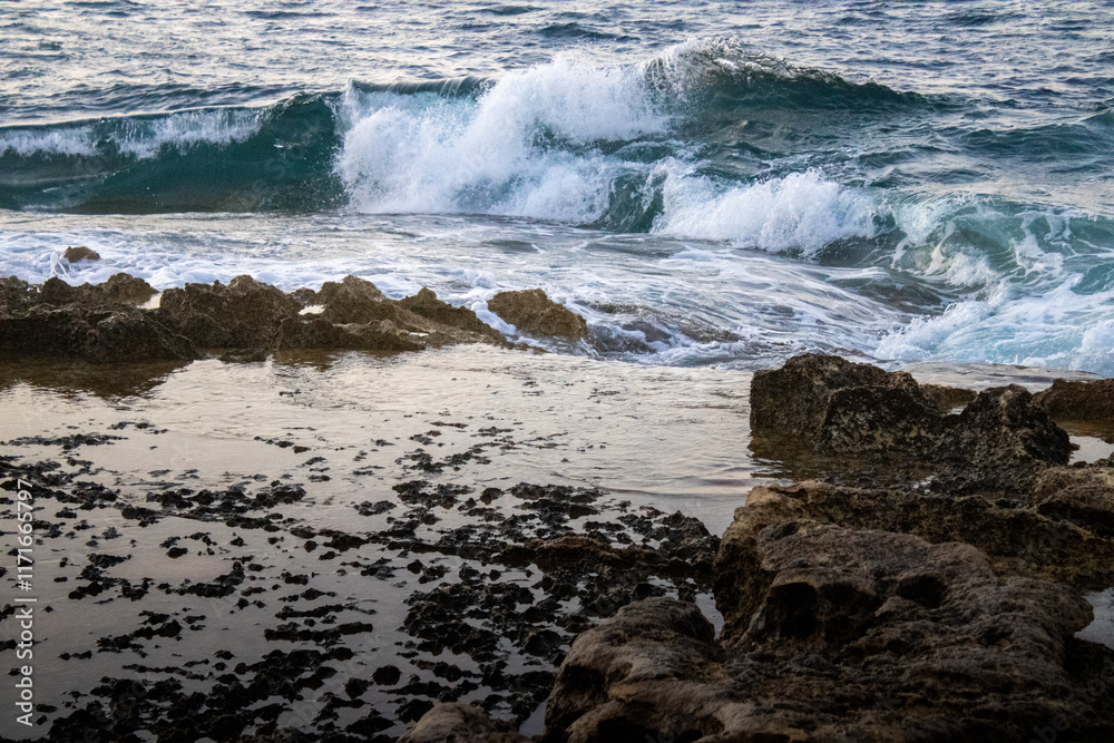 Waves in the sea Waves in the sea
