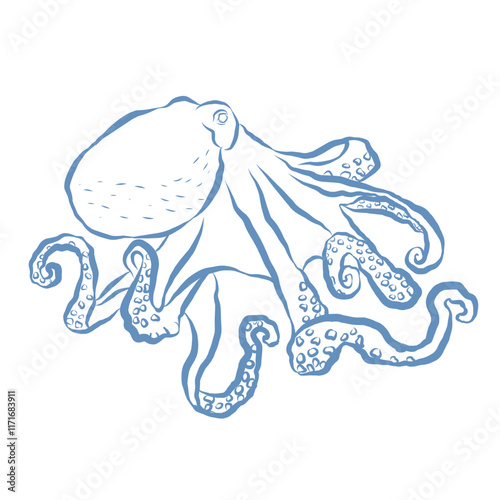 Line Art Illustration of Octopus. Vector Graphic.