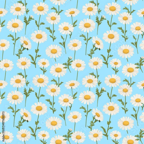 Bright Daisies Pattern on Sky Blue