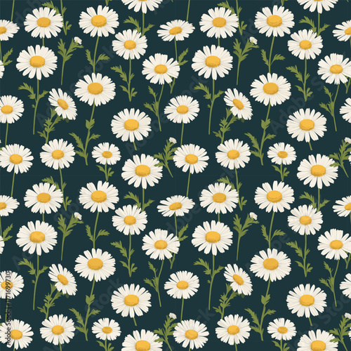 Elegant Pattern Charming White Daisies