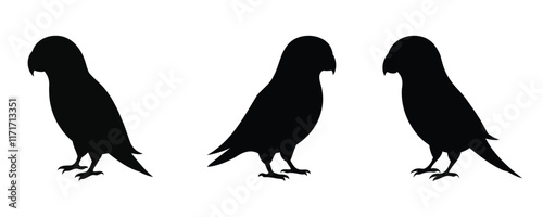 Here are 40 keywords for the title "Lovebird Silhouette Set Vector Design