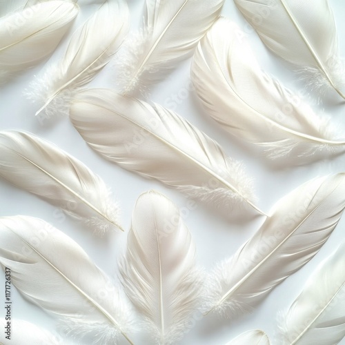 White feathers arranged on a flat surface creating a soft and elegant design ...